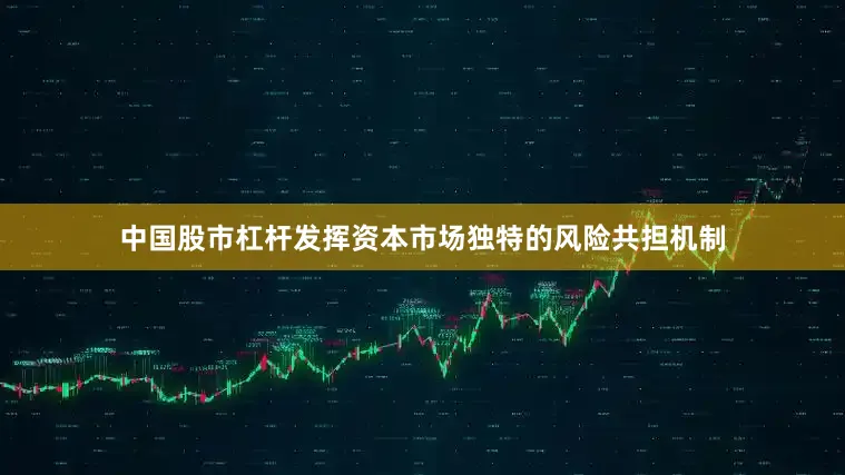 中国股市杠杆发挥资本市场独特的风险共担机制