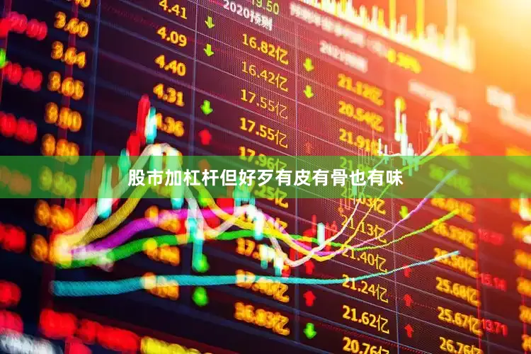 股市加杠杆但好歹有皮有骨也有味